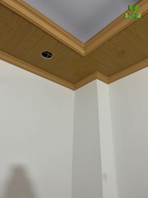 Ốp trần nhựa bằng tấm ốp lam sóng
