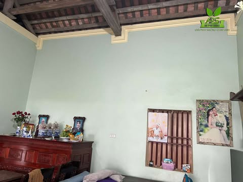 Thi công trần nhựa nano và ốp tường bằng tấm ốp than tre