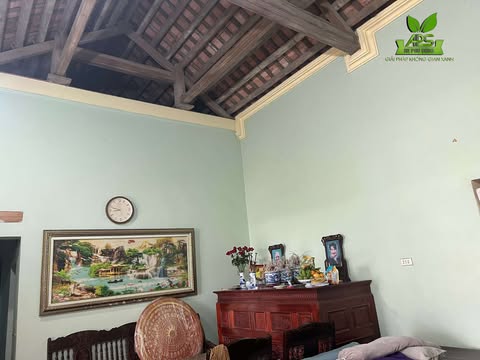 Thi công trần nhựa nano và ốp tường bằng tấm ốp than tre