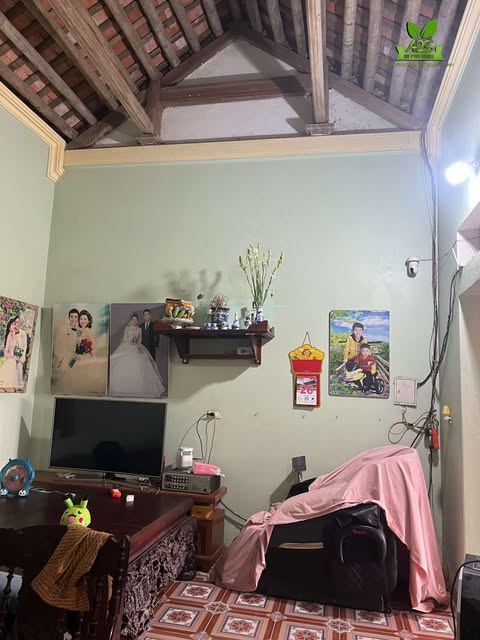 Thi công trần nhựa nano và ốp tường bằng tấm ốp than tre