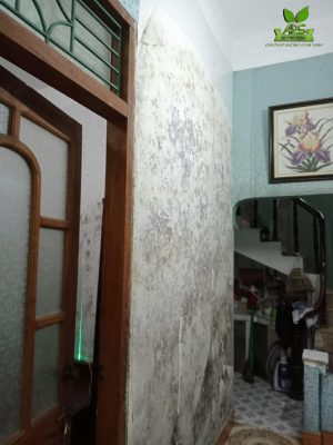 Tấm Ốp Tường Vân Đá Tấm Ốp Tường Vân Đá