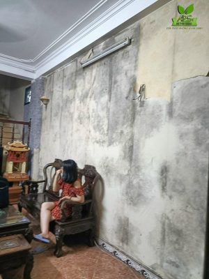 Tấm Ốp Tường Vân Đá Tấm Ốp Tường Vân Đá