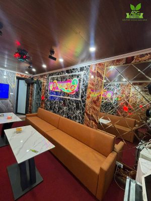 thiết kế thi công tấm nhựa ốp tường pvc